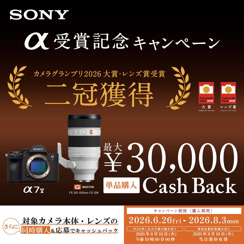 Sony Prime Lens E 11mm for Digital SLR Cameras SEL11F18 (Sony) Wide-angle APS-C F1.8 [E-mount] (genuine Lens)