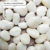 Polished White Natural Pebble Stones for Hydroponics, Fish Tanks, Landscaping, and Balcony Decor