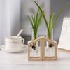 Test Tube Glass Vase Plant Propagation Station Hydroponic Vases for Plants with Wooden Stand Terrarium Office Home Desktop Decor
