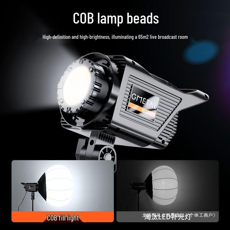 Professional-Grade LED Floor-Standing Spherical Fill Light for Photography and Livestreaming