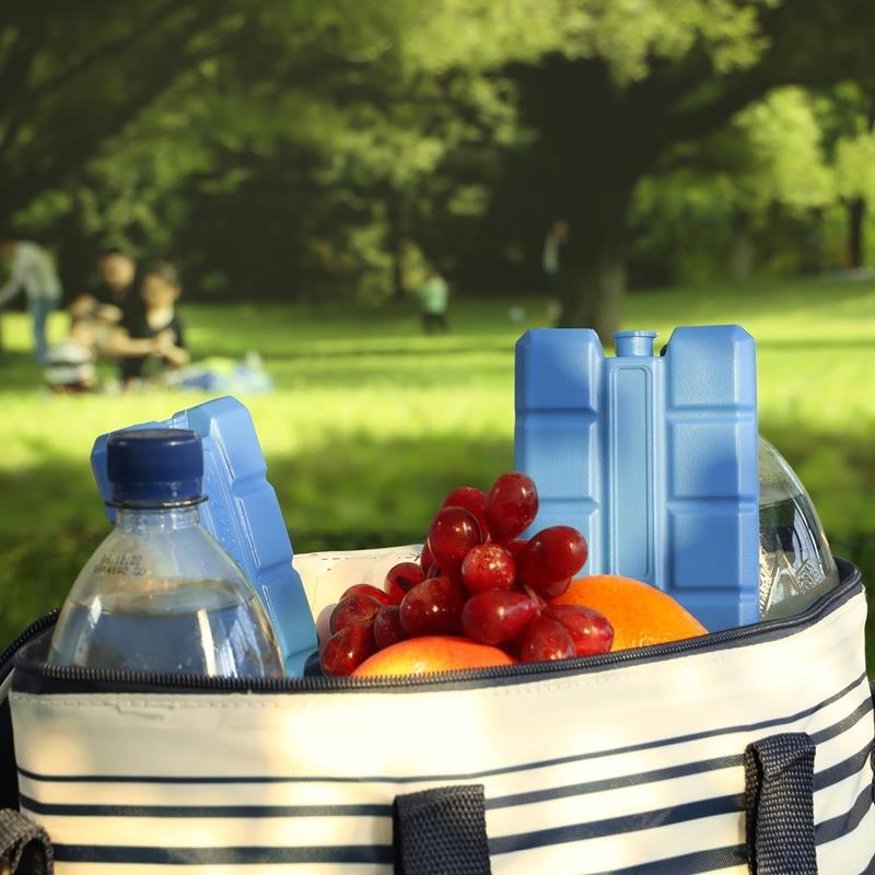 Cooling Insert for a Travel Cooler, Thermal Bag, 200 ml