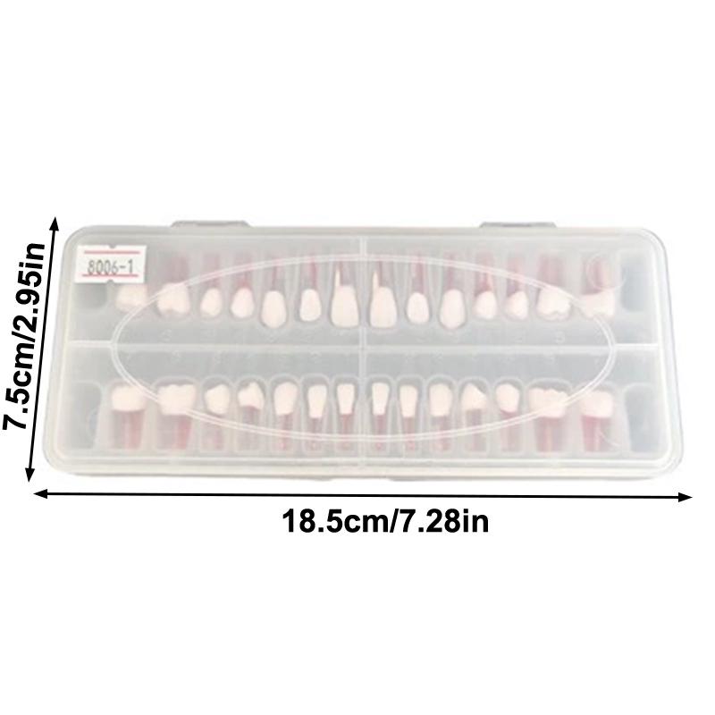 28Pcs/Set Dental Endodontic Teeth Model Full Mouth Root Canal Practice Study Model Endo Teeth Block Training
