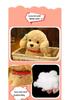 Cute Realistic Husky and Pomeranian Dog Plush Figurine Dolls
