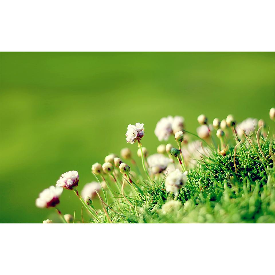 

5D DIY алмазная живопись весенний пейзаж художественная картина полная алмазная вышивка мозаика подарки наборы для вышивки крестом домашний декор подарки Full Round 20x30CM