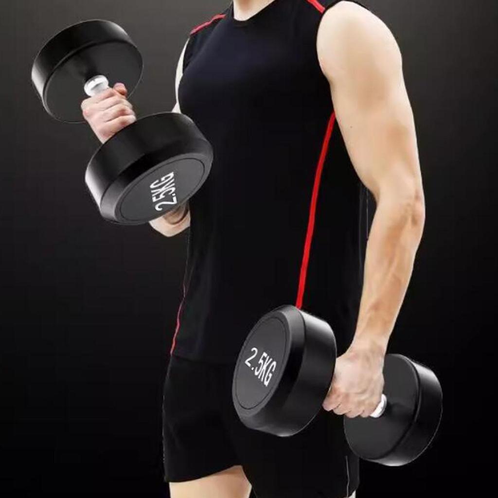2 Pieces Round Dumbbell Exercise Fitness Women Hand Weights for Strength Training Stainless