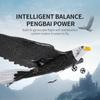 Rc Foam Plane Eagle Glider Airplanes 2.4G Radio Control Planes Model Airplane Remote Control Helicopter Toys Hobbies Children