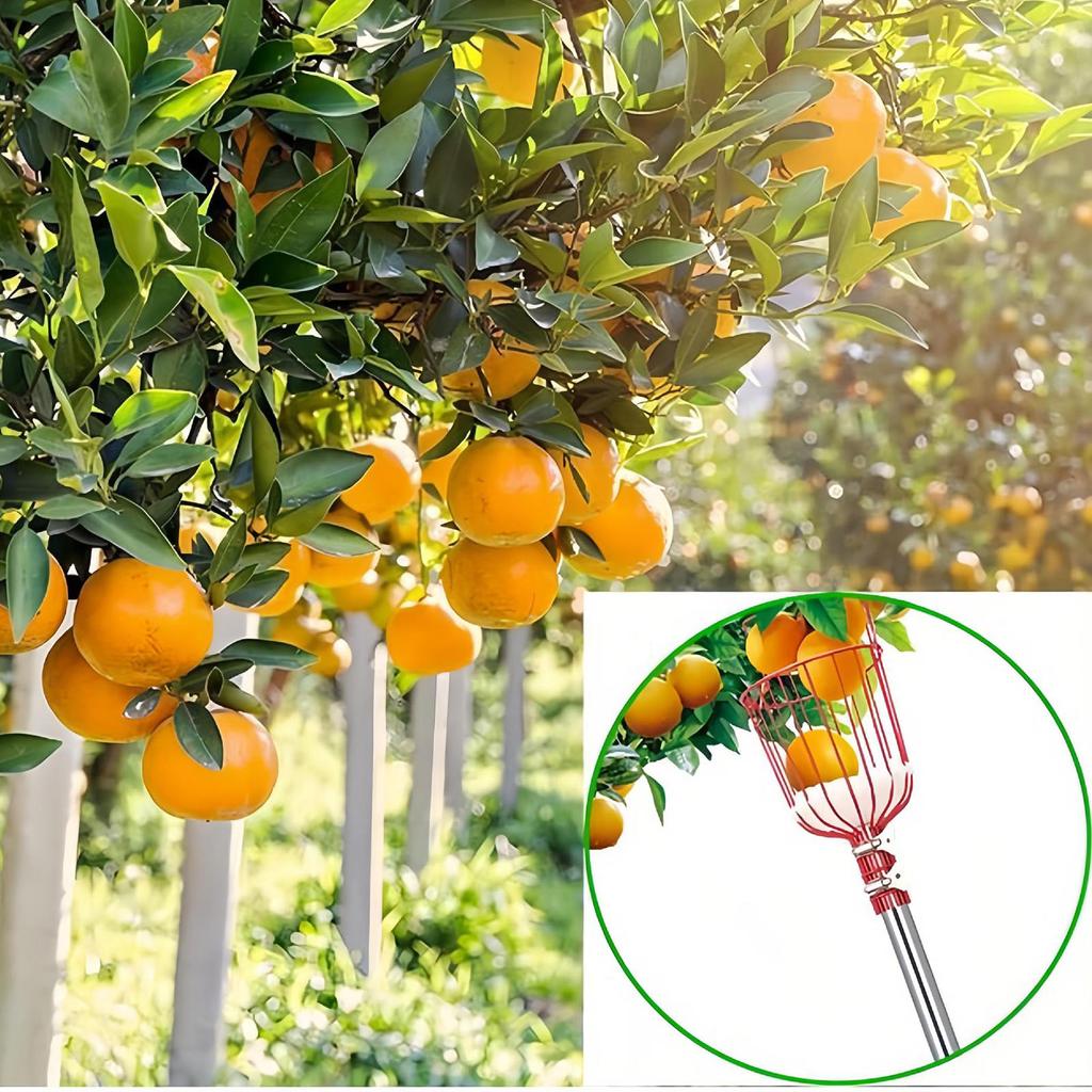 Fruit Pick Basket Telescoping Pole Tool Fruit Picking Equipment for Garden