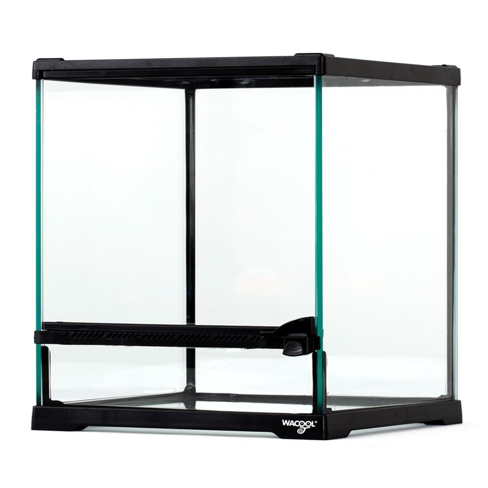 Waterproof Terrarium Terrariums For Spider Scorpion Turtle Gecko Allegro