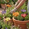 Ground Insert Bird Bath Stand Handcrafted Insect Drinking Water Bee Water Feeder  Balcony Farm