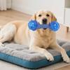 Köpek – Köpek oyuncakları
