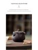 Purple Clay Treasure Bottle: Handmade Retro Ceramic Teapot for High-Grade Kung Fu Tea Tasting