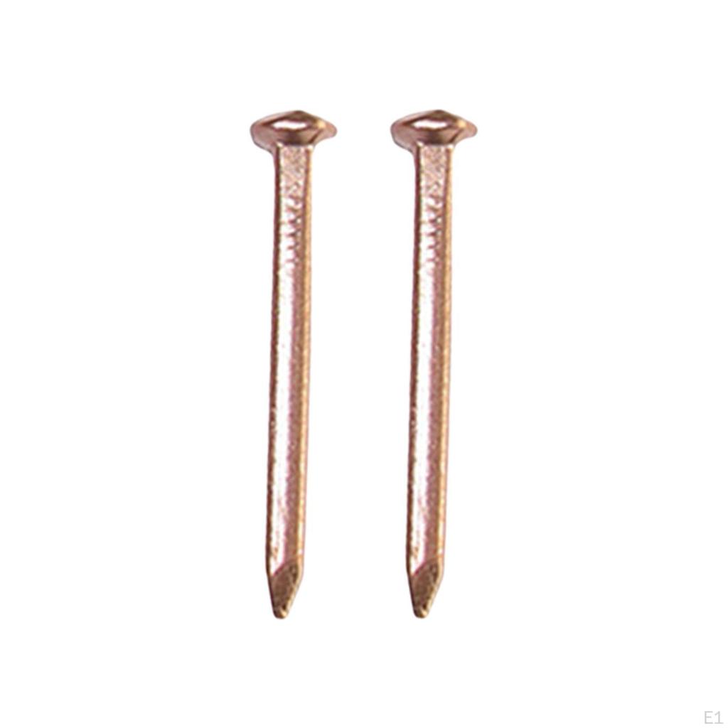 10 Pack Copper Nails for Home Projects And Landscaping Slate Spikes