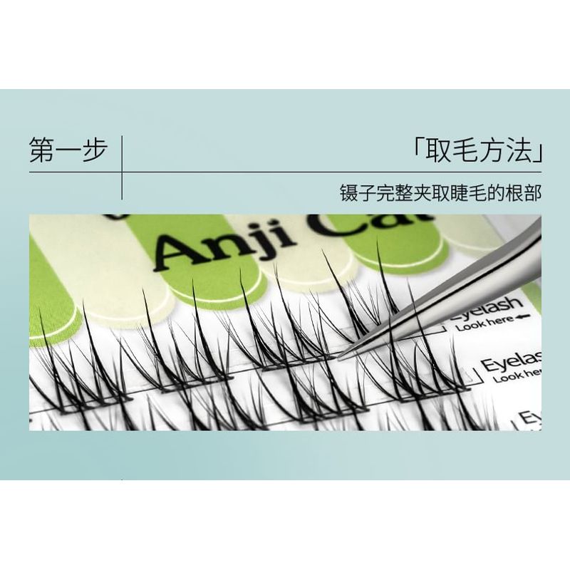 Bonnie Wisp - Spiky Multipack False Eyelashes Cluster