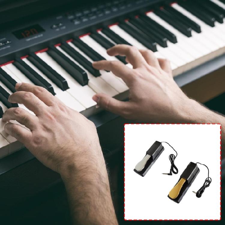 Sustain Pedal with Polarity Switches for Keyboard Synth Digital Pianos Electric Piano Drum Musical Instrument Accessories