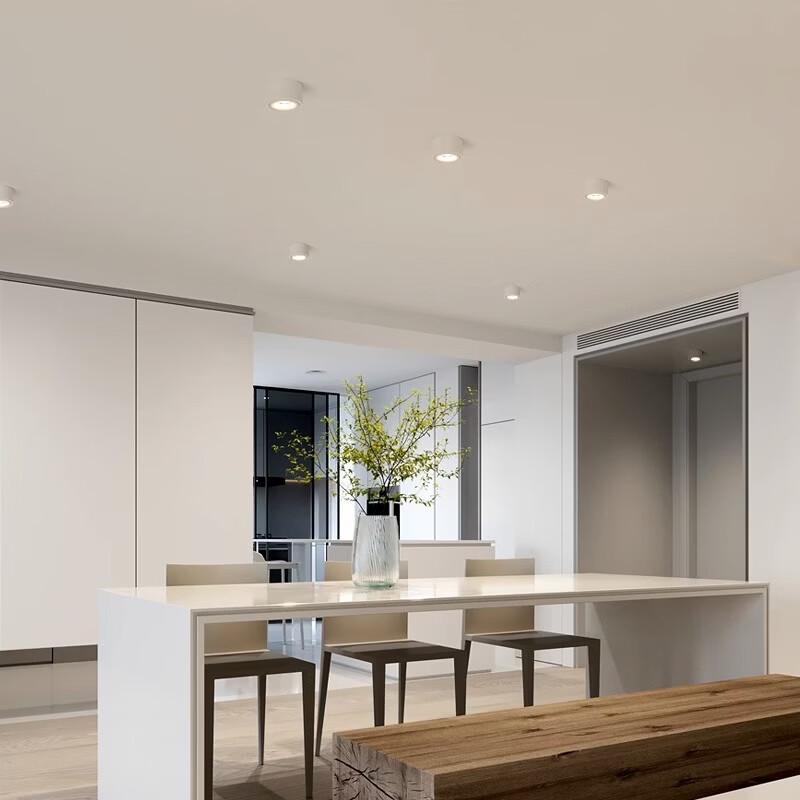 OEING Surface Mounted LED Spotlight