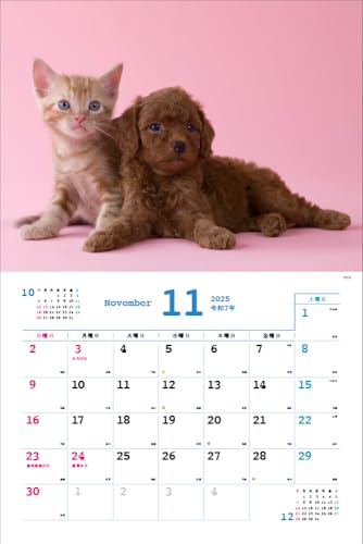 2025 Ημερολόγιο Nakayoshi Σκύλος/Γάτα <Γεμάτο χαριτωμενιά!> Κάθε μέρα είναι μια χαλαρωτική στιγμή > ([Ημερολόγιο])