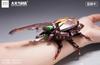 Daikachou Toys Insect Princess Series Beetle Mecha Beautiful Girl Helmet Transformable Painted Complete Action Figure "AC" IMG-01 [Item]