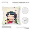 A-Apothecary Diaries maomao Pillow Case 3D Print Polyester Fiber 40*40 cm Home Sofa Throw Pillow Cover Decoration Festival Gift