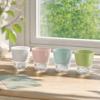 Drainage Hole Self Watering Flower Pot Plastic Resin Material Transparent Plant Pot  Home Planters