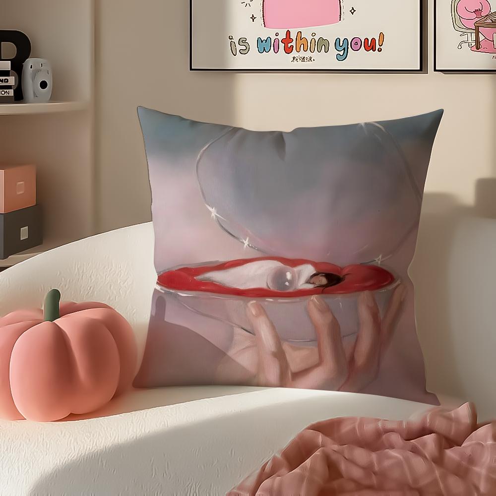 Creative Polish Art MMonika Marchewka Cushion Cover Pillowcase Short Plush Invisible zipper Room Sofa Cushion Cover