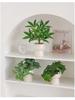 Artificial Bionic Potted Plant for Living Room Table or TV Cabinet
