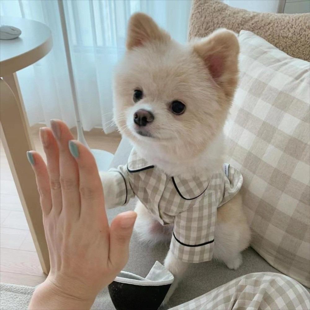 

Удобные клетчатые рубашки с утеплителем, одежда для питомцев, элегантная одежда для кошек и собак, пижама для собак, подарок для йоркширского терьера L белый