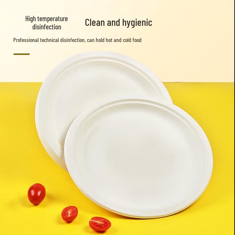 temeiju Sugarcane Pulp Disposable Round Plate