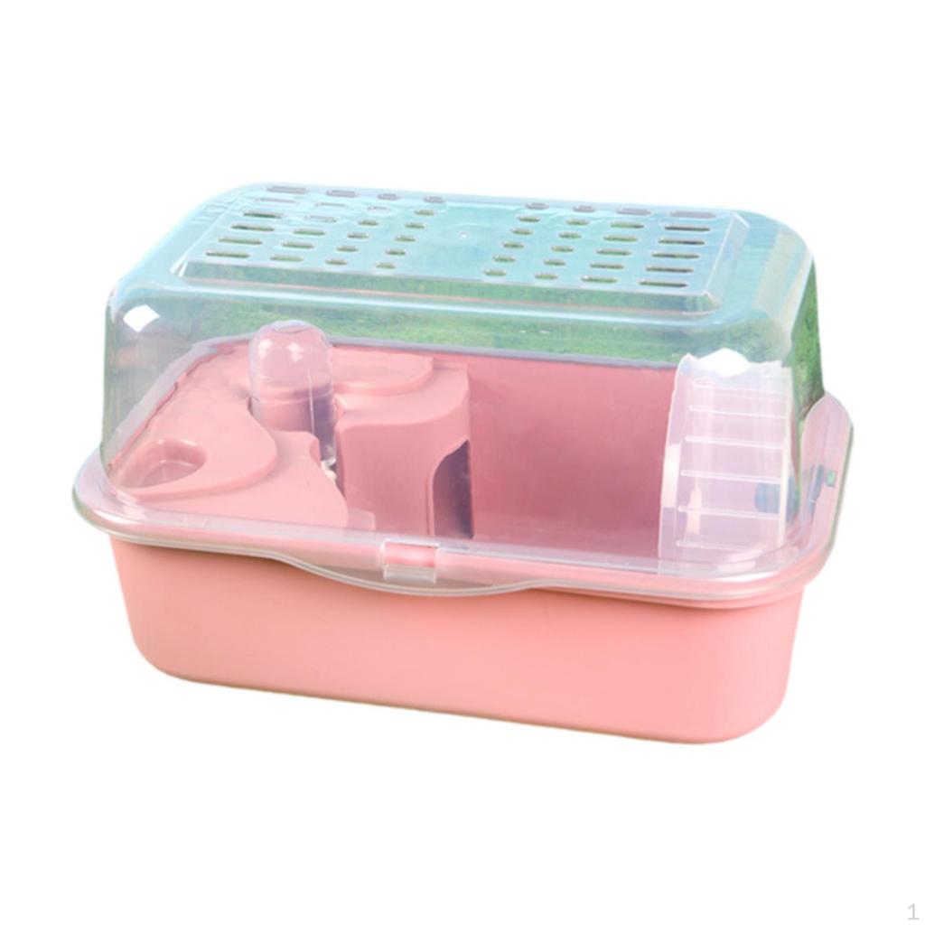 Exercise Space for Hamsters And Small Pets, Ideal Mice Gerbils