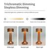 Retro Metal Barbell Desk Lamp - Touch-Control, Dimmable, Three-Color Light for Creative Spaces
