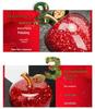 Christmas Crystal Apple Gift for Girlfriend or Wife - Perfect Birthday or Home Decor Piece for Best Friend