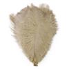 10Pcs Stage Props Ostrich Feathers 15-20cm Colored Ostrich Feathers  Home Decoration