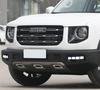 Haval Big Dog Tricolor Daytime Running LED & Fog Lamp Set for Haval Big Dog and Tank 300