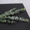 5Pcs/Set Green Artificial Eucalyptus Leaf Plant Vine Garden Balcony Home Decor