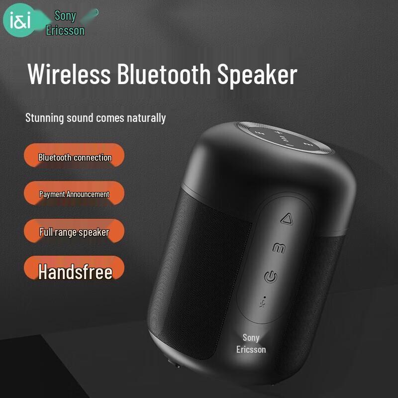 Soaiy E-30AI Inteligentny Przenośny Głośnik Bluetooth (Wersja CN)