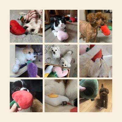 Squeaky Fabric Dog Toy 6-piece Set, Mixed Colors, 1 Set