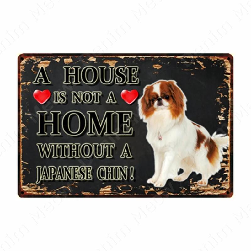 A House Is Not A Home Without A Dog Plaque, Vintage Metal Tin Signs, Bar, Cafe, Home Decor, Springer Spaniel, Wall Art Poster