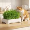 Anti-Pull Out Cat Grass Planter Plastic Wheat Seedling Pot Easy Grow Sprout Tray  Indoor Growing