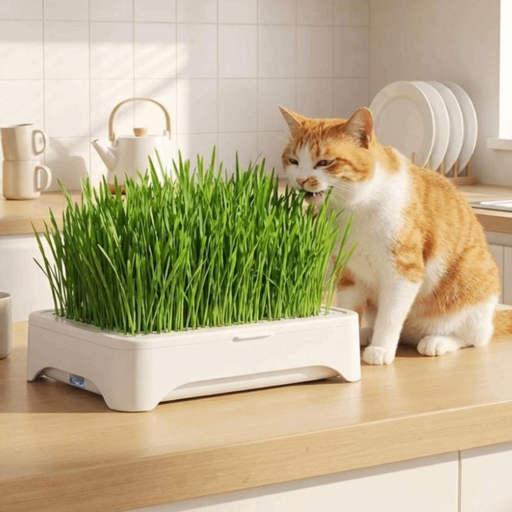 Anti-Pull Out Cat Grass Planter Plastic Wheat Seedling Pot Easy Grow Sprout Tray  Indoor Growing