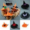 Witch Pet Hat Costume Accessory With Pumpkin And Bat Designs For Wear Halloween