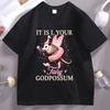 It Is I Your Fairy Godpossum Graphic T Shirts Funny Opossum Spirit Animal TShirt Cotton Short Sleeve Unisex Women Round Neck Tops