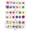 12 Colors DIY Nail Art Dried Flowers 3D Flower Decoration Nails Stickers Tips