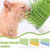 Tavă pentru răsaduri Tavă pentru germinarea semințelor Set pentru cultivarea ierbii pentru pisici Stratificat Felin Fără sol Convenabil Set iarbă pentru pisici 3 Stiluri Consumabile pentru animale de companie