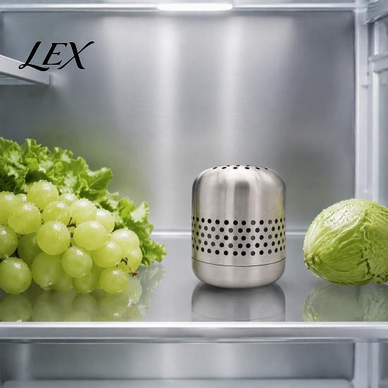 Portable Shoe Cabinet Deodorizer Stainless Steel Refrigerator Deodorizer, Long-Lasting Odor Eliminator, Nano-Catalytic Wardrobe Air Freshener Removal