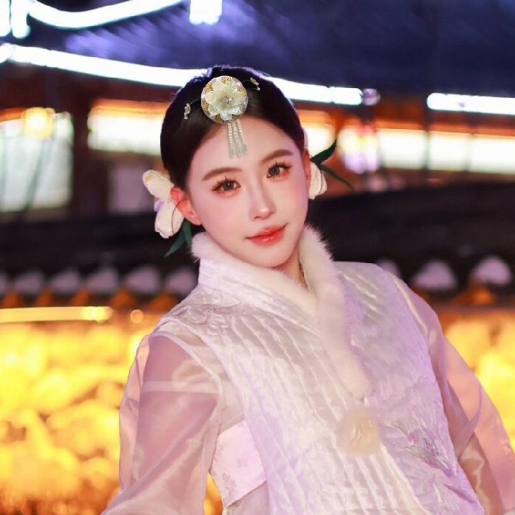 Flower Pearls Korean Hair Hoop Traditional Headband for Stage Shows and Ethnic Festivals Handmade Hair Accessories