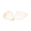 Guitar Pick Bass Picks Electric Guitar Parts Guitar Pick Thumb Picks Shell Guitar Picks Acoustic Guitar Picks Plectrums