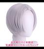 CaseEden Cosplay Wig, Short, 30cm, Center Part, Heat Resistant, Silver, Includes 2 Wig Nets