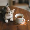 Cat Coffee Coasters Set of 3,Woven Cat Drink Mats, Funny Handmade Home Decorations Tabletop Protection