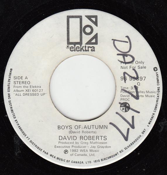 

7inch Record DAVID ROBERTS - Boys Of Autumn 9699897 Elektra 1982 Canada Rock Used