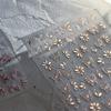 Gradient White Pink Butterfly Flower Shiny Stars Chic Spring Petal 5D Soft Adhesive Nail Art Stickers Decorations Manicure Decal