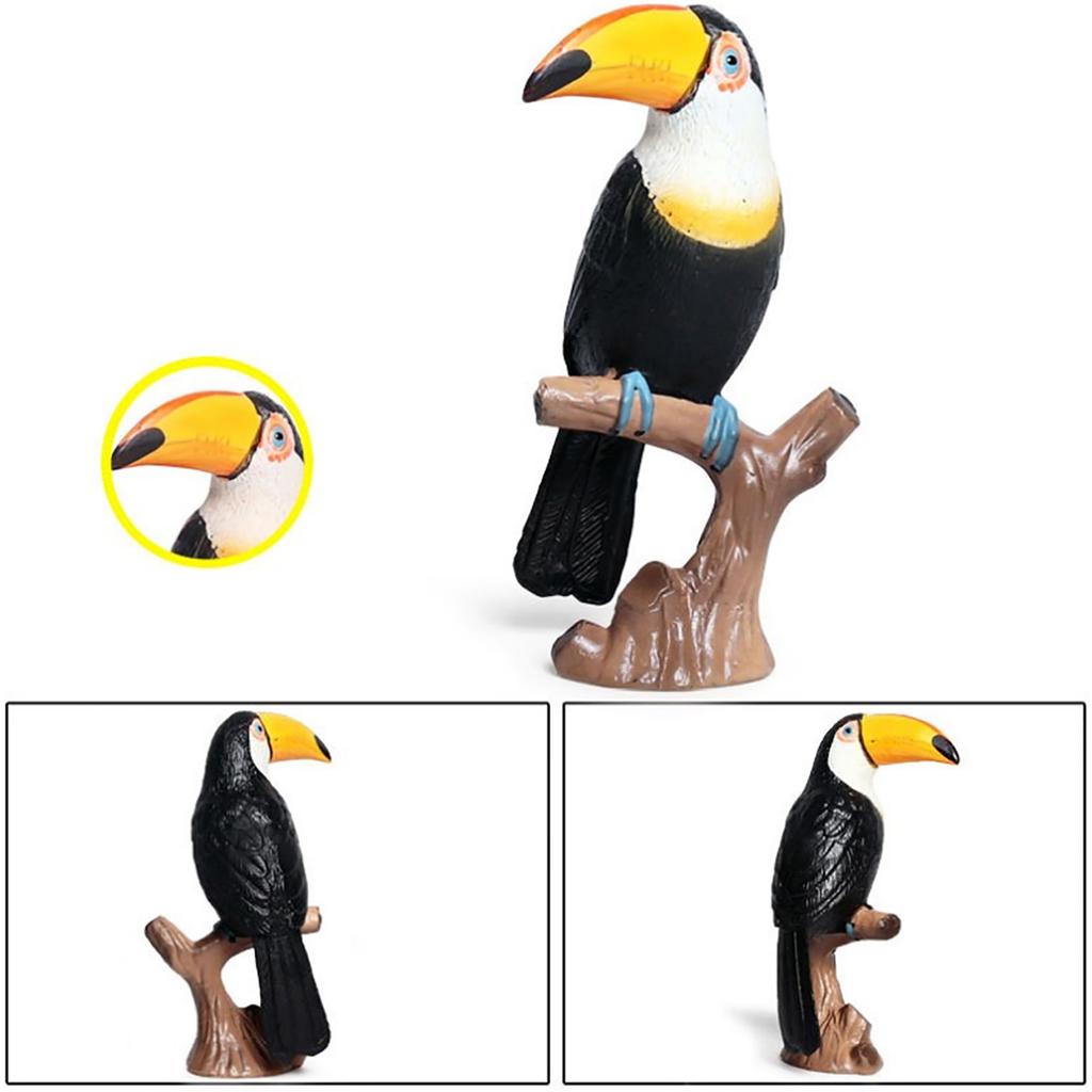 Lebensechtes Kinder Wildtier Tukan Modell Kunststoff Simulierte Spielzeug